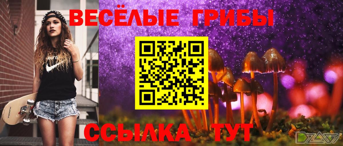 Кропоткин  Псилоцибиновые грибы MAGIC MUSHROOMS  Вход с VPN  Галлюциногенные грибы ЛСД 