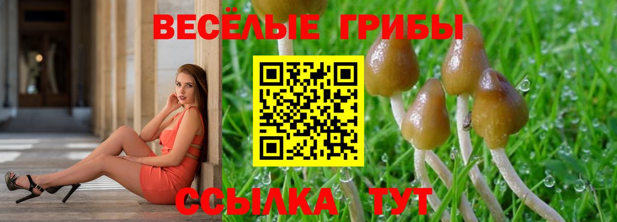 Псилоцибиновые грибы Magic Shrooms Кропоткин
